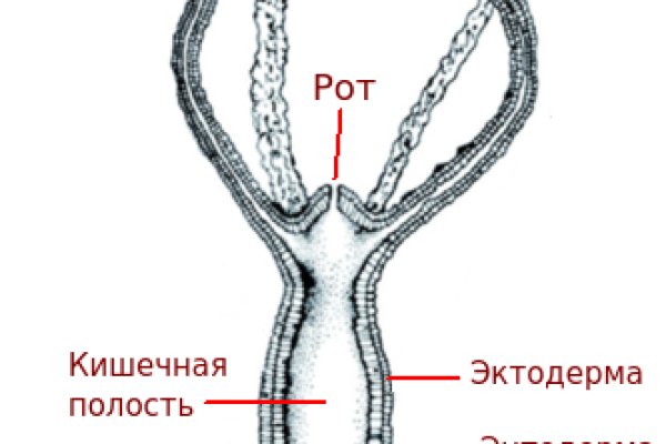 Бошки цена