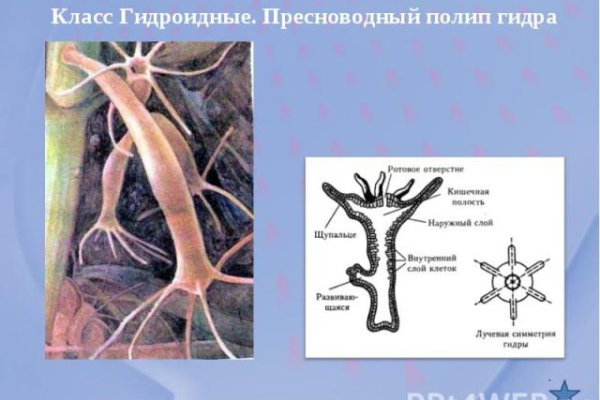 Как пишется сайт омг в торе