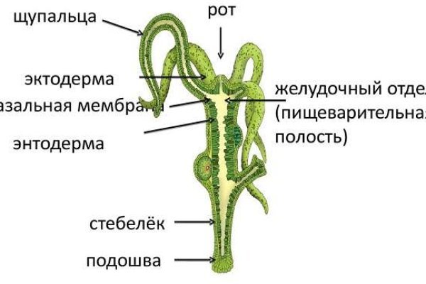 Блэкспрут настоящая